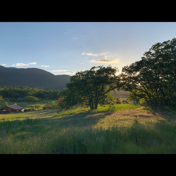 Meet your Posher, Ayla - Picture 1 of 1